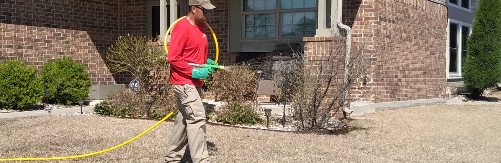 spraying lawn