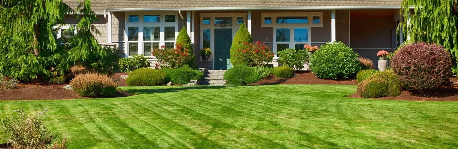 lawn-care-services