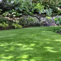 beautiful-lawn