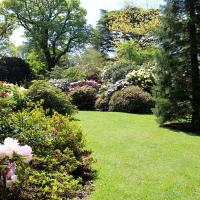Beautiful landscape with healthy trees, shrubs, and lawn