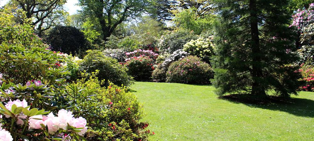Beautiful landscape with healthy trees, shrubs, and lawn