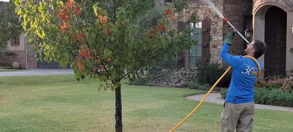 spraying-tree-in-front-of-home
