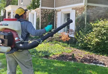 spraying for mosquitoes