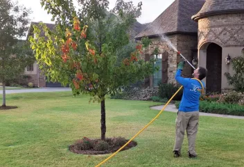technician spraying tree